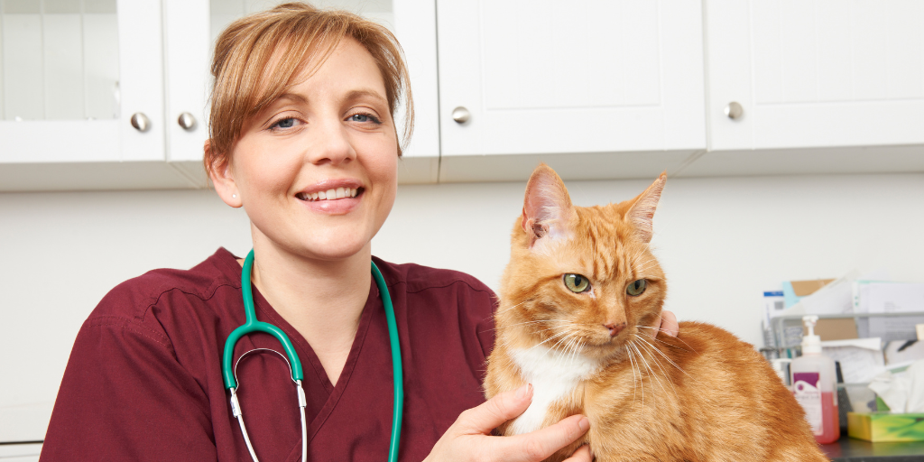 Kaitlyn wears scrubs and a stethoscope around her neck. She smiles into the camera while holding a cat.